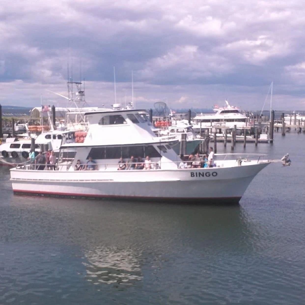 Bingo Sport Fishing