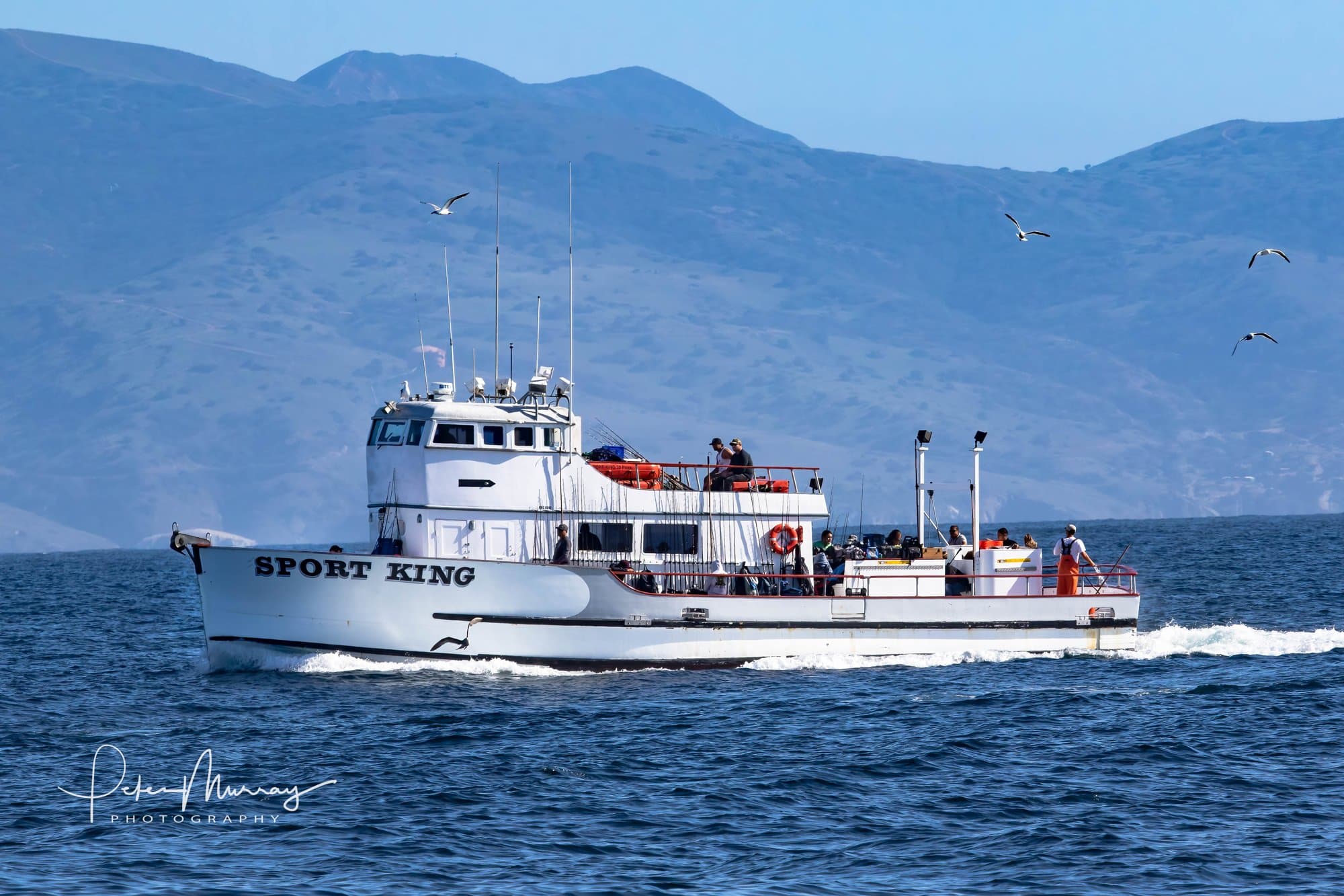 LA Harbor Sportfishing