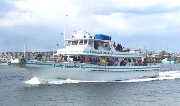 Lady Merrilee III