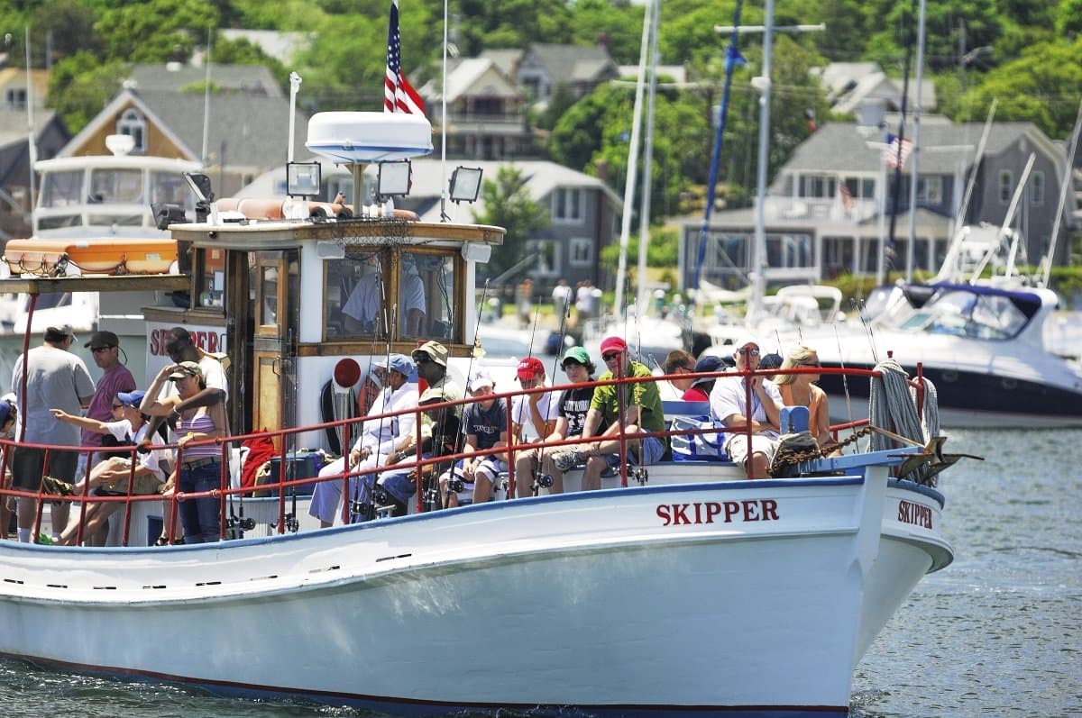 Skipper