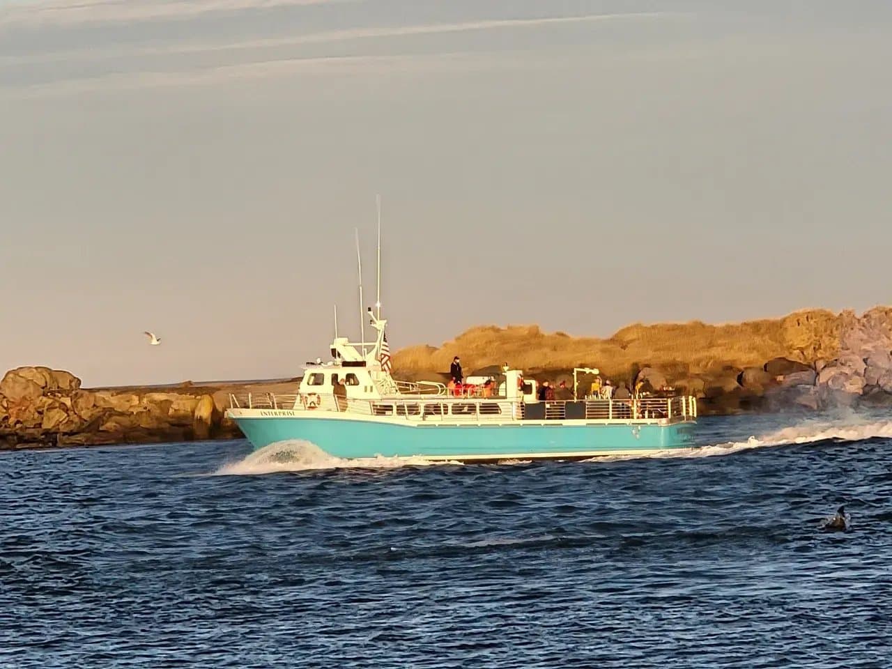 Newport Tradewinds