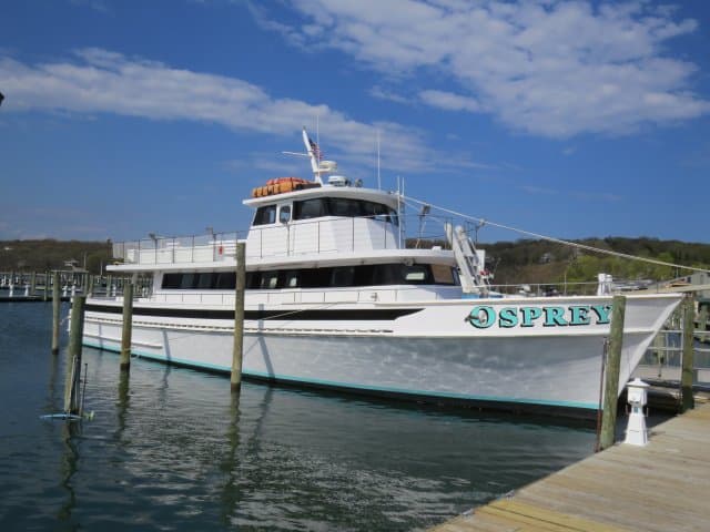 Osprey V