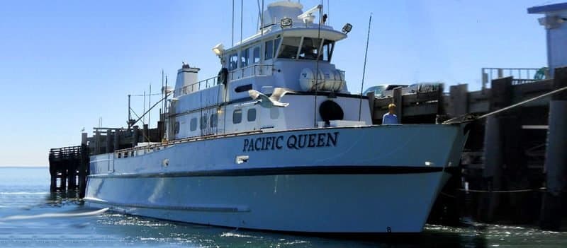Pacific Queen