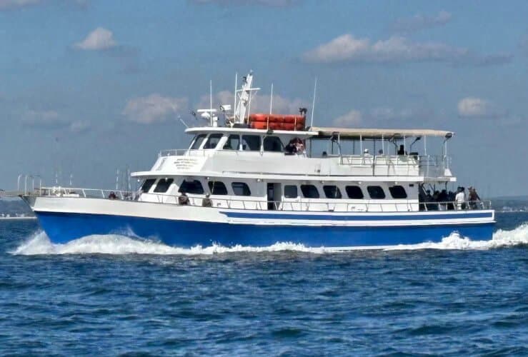 Peconic Star