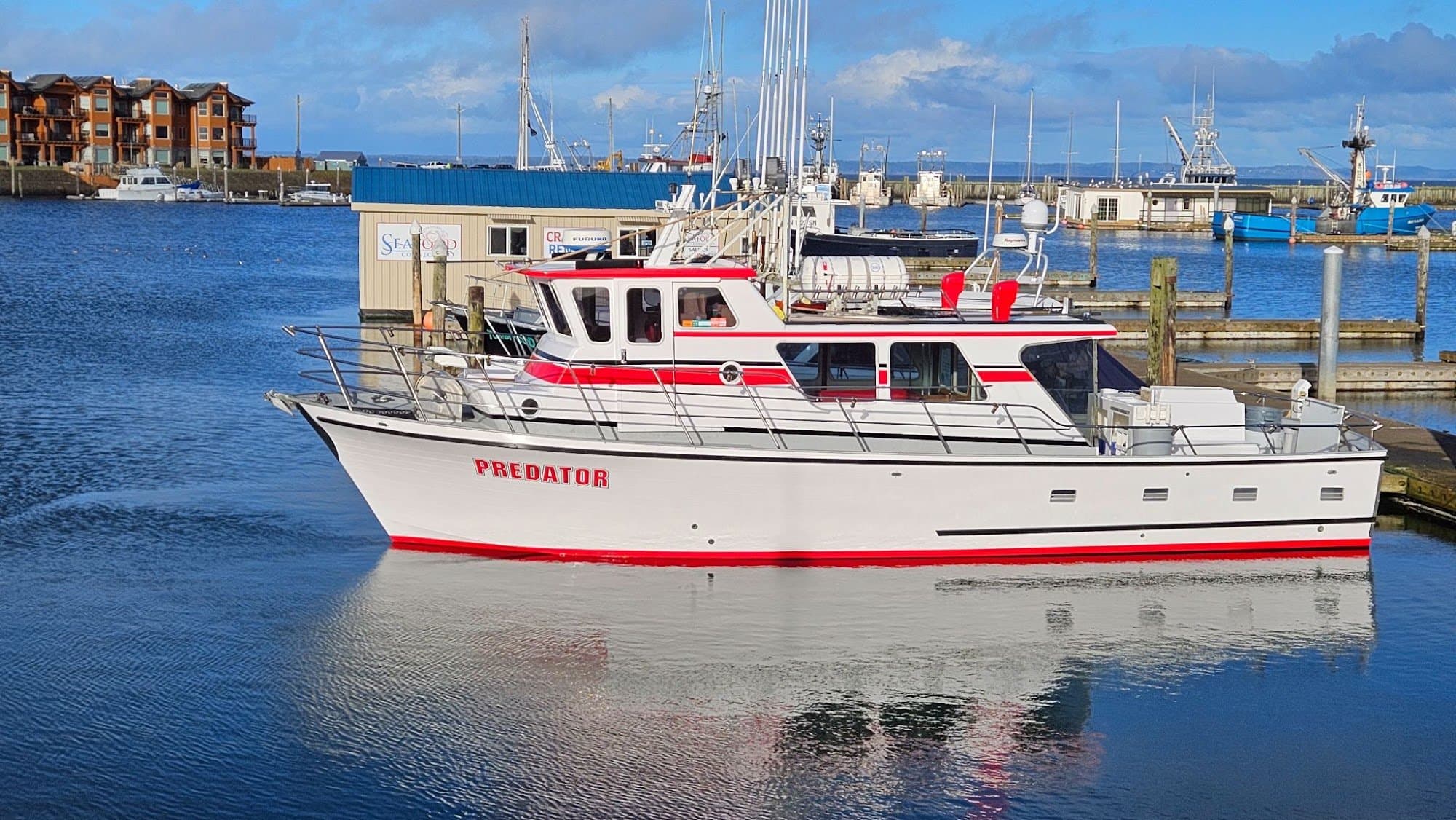 Predator Charters