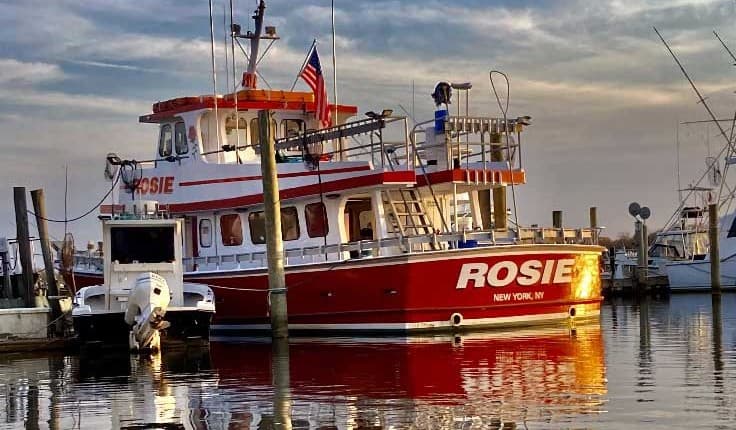 Rosie