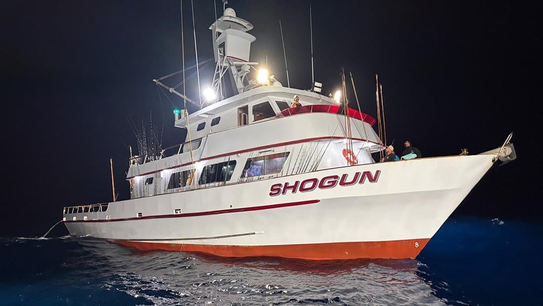 Shogun